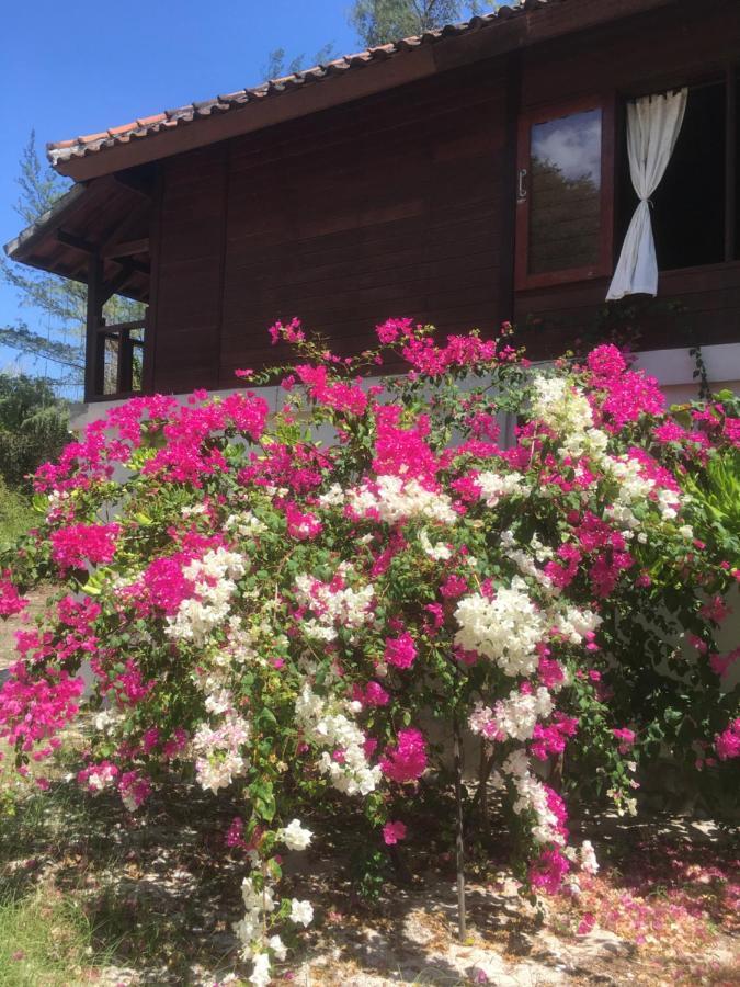Biru Meno Beach Bungalows Gili Meno Eksteriør billede